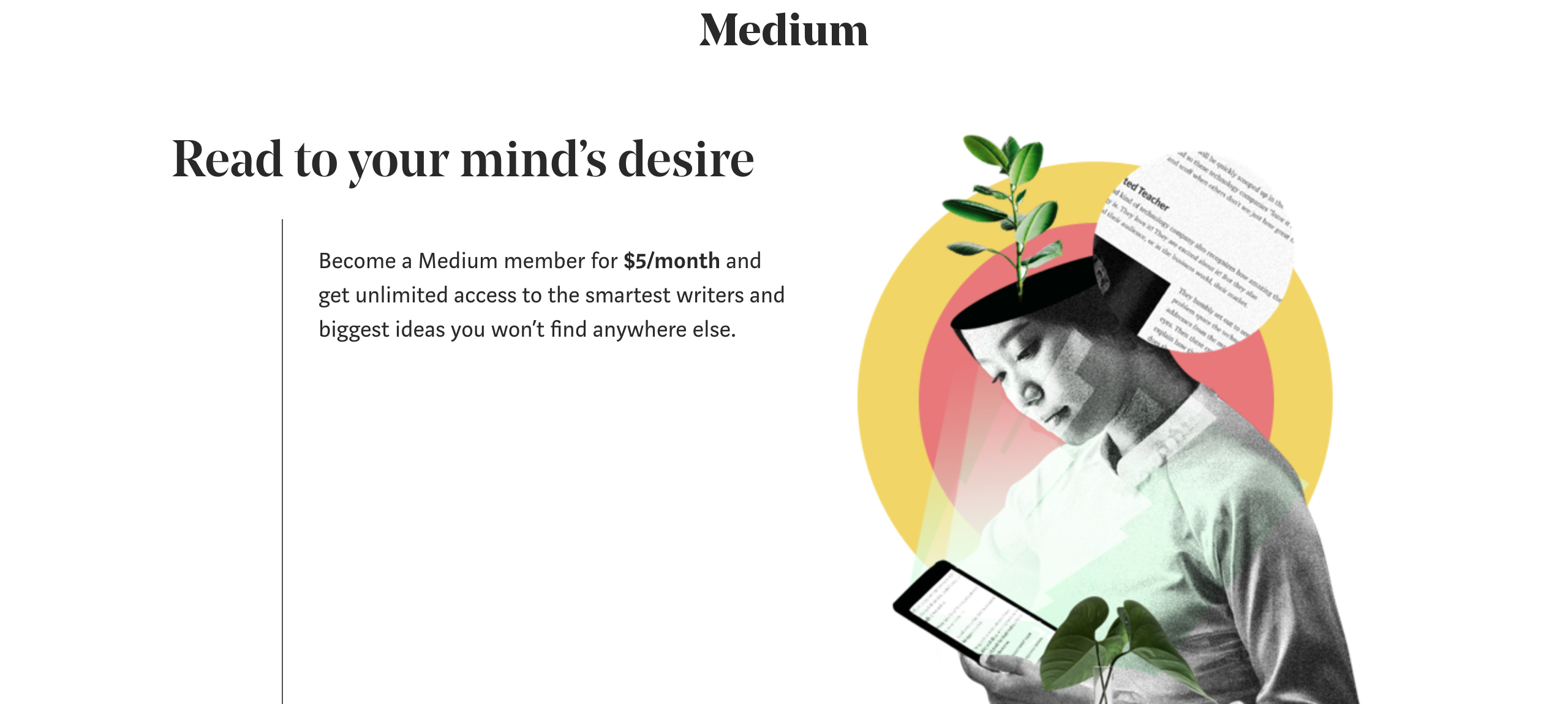 Medium Membership